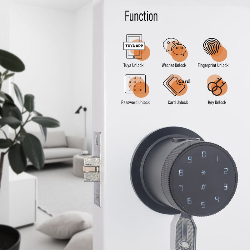 Smart Door Knob Lock, Keyless Fingerprint and Touchscreen ,Digital Door Lock, Best Smart Lock