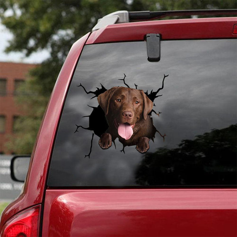 Doggy Windshield "Breaking" Decals | 12" x 12"