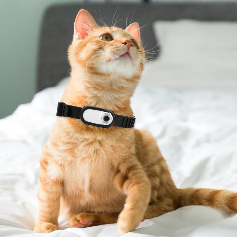Dog Tracking Collar Camera – HD 1080P WiFi-Free Pet Camera with 32G Card for Real-Time Security & Birthday Memories of Cats & Dogs