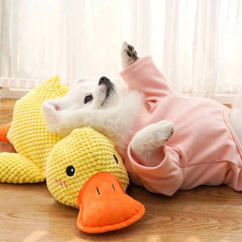 Plush Duck Chew Toy – Squeaky & Bite-Resistant for Calming Puppies & Teething Relief