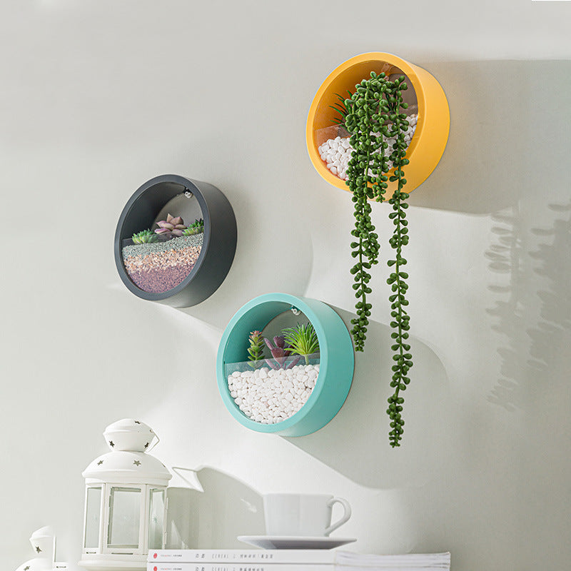 Porthole Wall Plant Hangers | Modern Home Decor