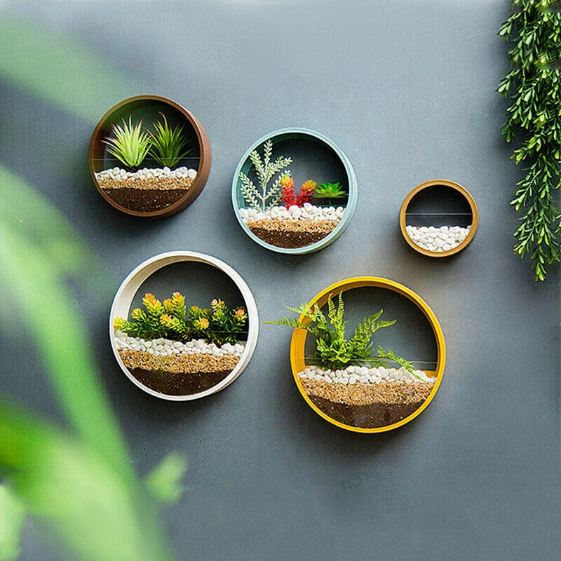 Porthole Wall Plant Hangers | Modern Home Decor