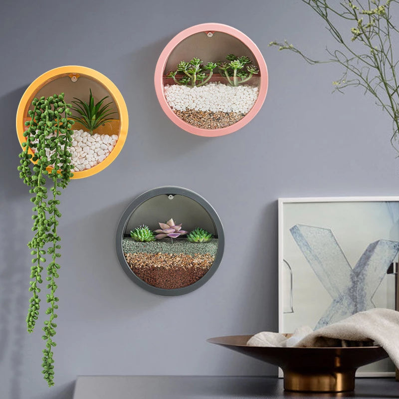 Porthole Wall Plant Hangers | Modern Home Decor