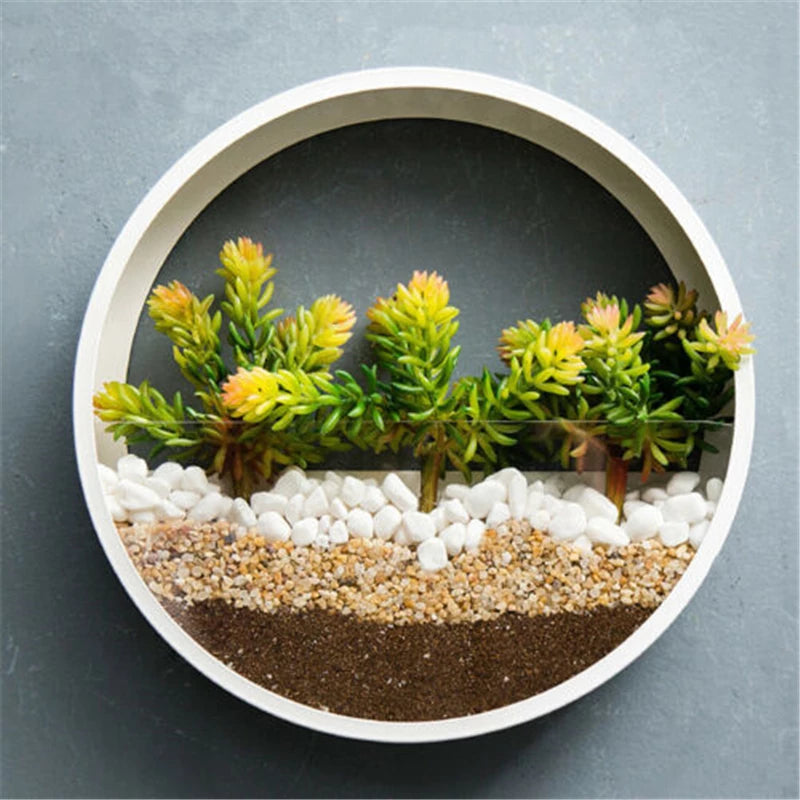 Porthole Wall Plant Hangers | Modern Home Decor