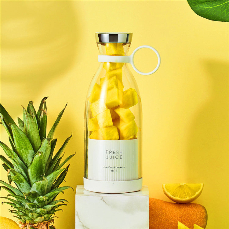 Mini Portable Blender Fruit Juicer