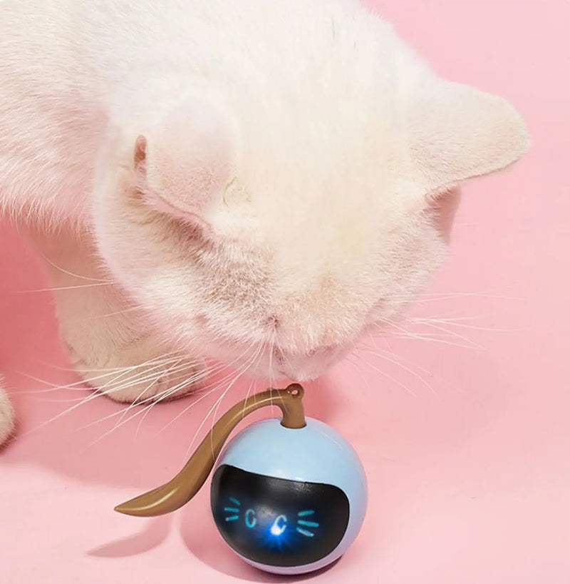 Crazy Cat Teaser Toy – Rolling Interactive Ball with LED Lights for Fun, Active, Auto-Chasing Pet Entertainment Anytime