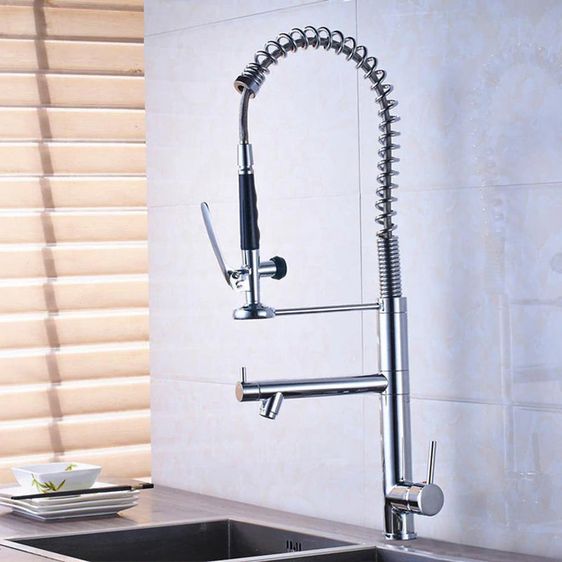 Professional Pull Down Spray Dual Handle Swivel Spout Kitchen Faucet