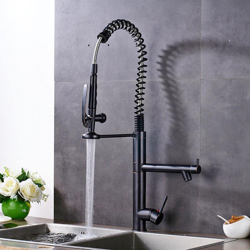 Professional Pull Down Spray Dual Handle Swivel Spout Kitchen Faucet