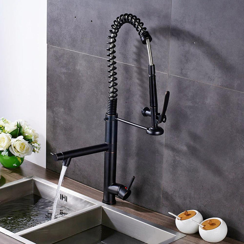 Professional Pull Down Spray Dual Handle Swivel Spout Kitchen Faucet