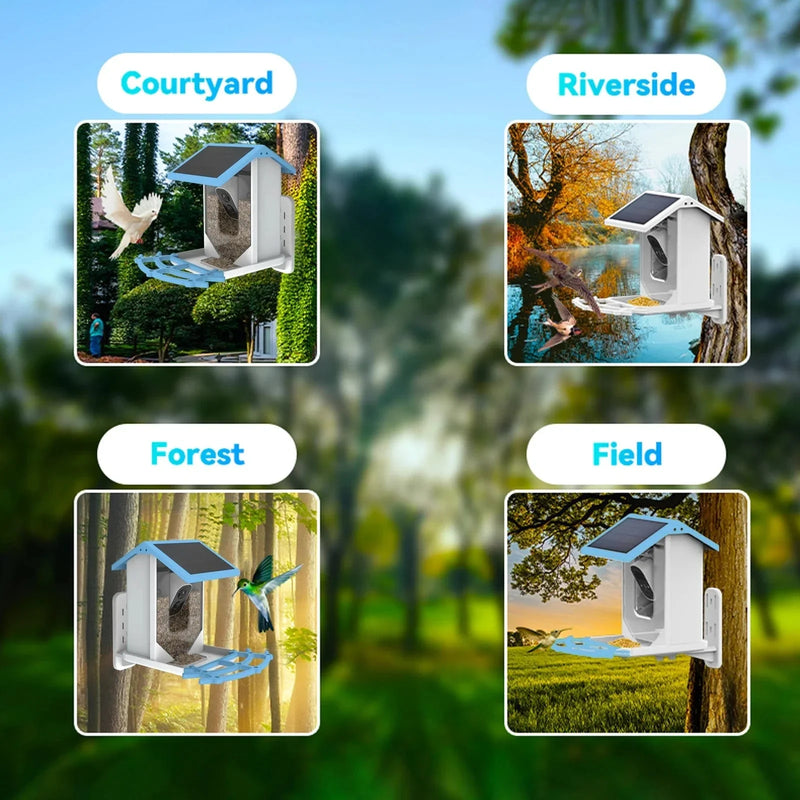 Bird Feeder Camera -