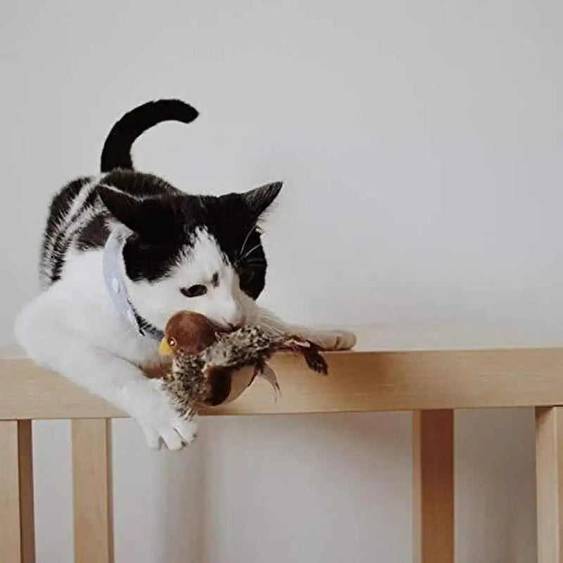 Interactive Sound Bird Cat Toy – Flapping Feather Fun for Indoor Cats