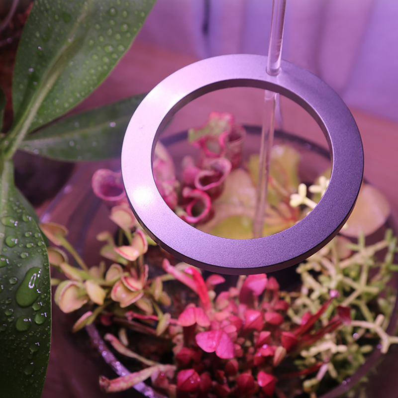 HaloGrow | Full Spectrum LED Grow Lights with Timer