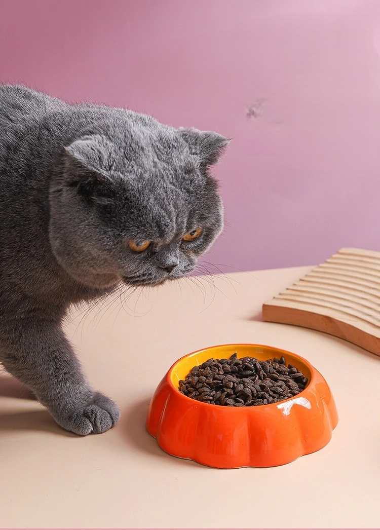 Fruit-Themed Ceramic Pet Bowl – Anti-Tip Food & Water Feeder in Watermelon, Strawberry & More