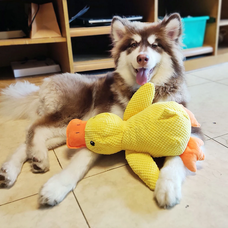 Plush Duck Chew Toy – Squeaky & Bite-Resistant for Calming Puppies & Teething Relief