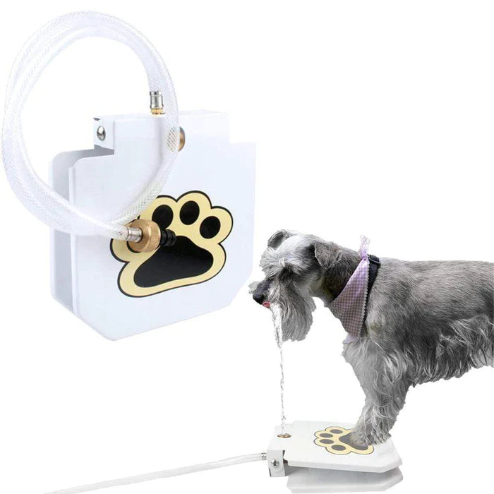 Pet Dog Water Fountain