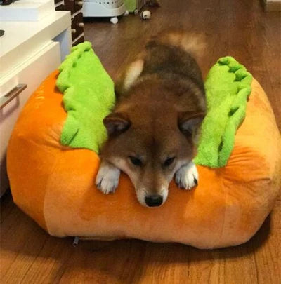 Comfy Hot Dog Bed for Pets