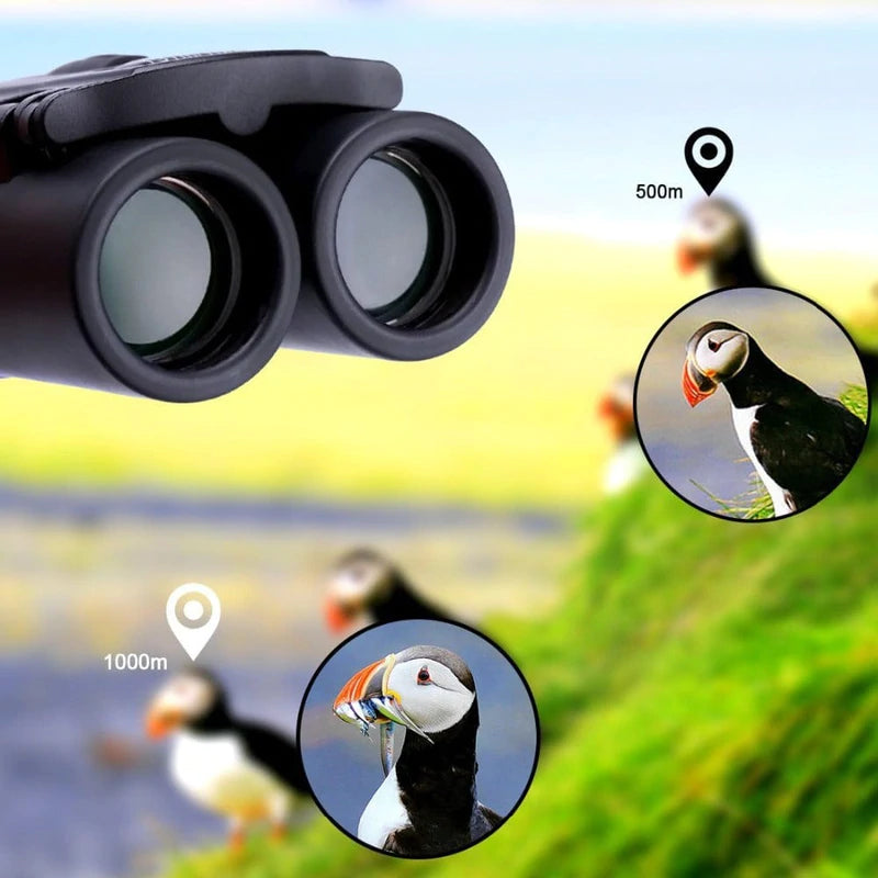 Lightweight HD Power Binoculars