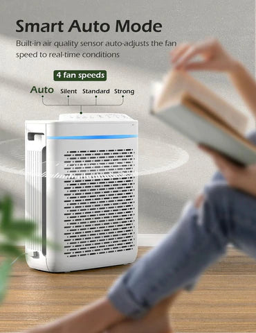 Personal Home Air Purifier | 3-Stage