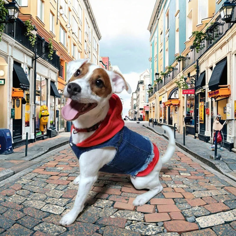 Denim Dog Jacket with Hoodie – Stylish Blue Jeans Coat for Small to Medium Pups