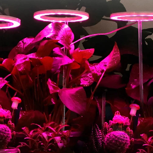 HaloGrow | Full Spectrum LED Grow Lights with Timer