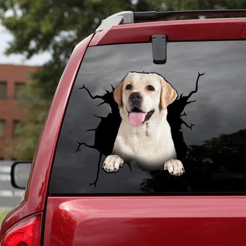 Doggy Windshield "Breaking" Decals | 12" x 12"