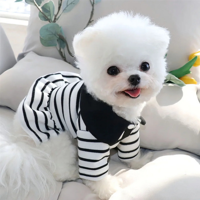 Striped Summer Dog Dress – Fashionable, Leashable & Ultra-Soft Outfit for Stylish Pups