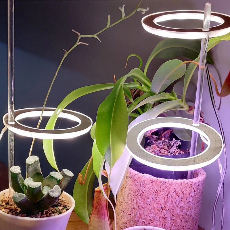 HaloGrow | Full Spectrum LED Grow Lights with Timer