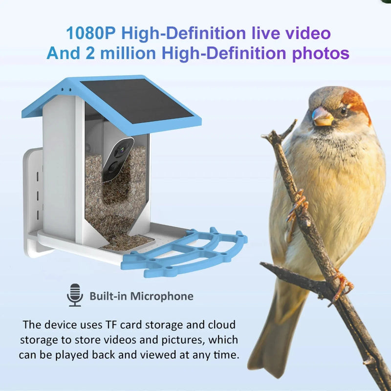 Bird Feeder Camera -