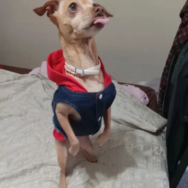 Denim Dog Jacket with Hoodie – Stylish Blue Jeans Coat for Small to Medium Pups