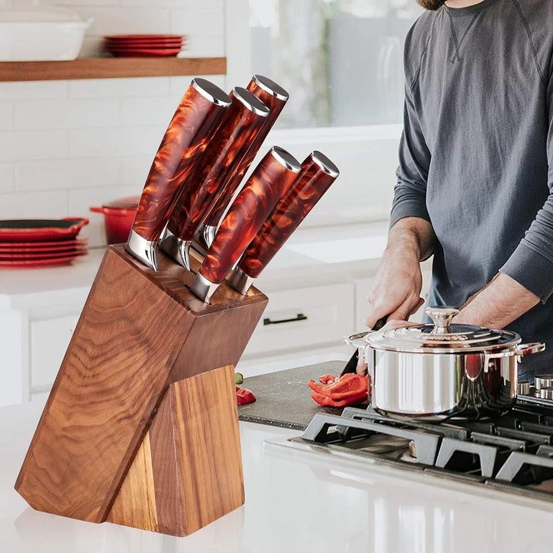 6-Piece Professional Chef Knife Set with Knife Holder