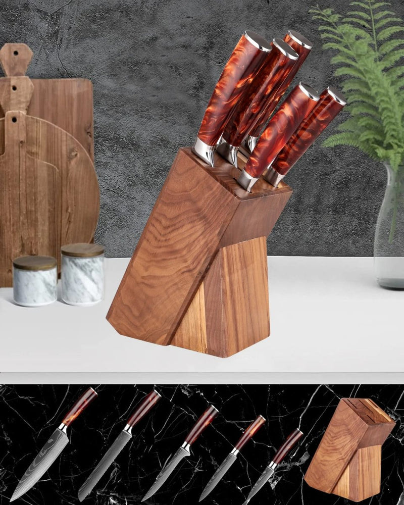 6-Piece Professional Chef Knife Set with Knife Holder