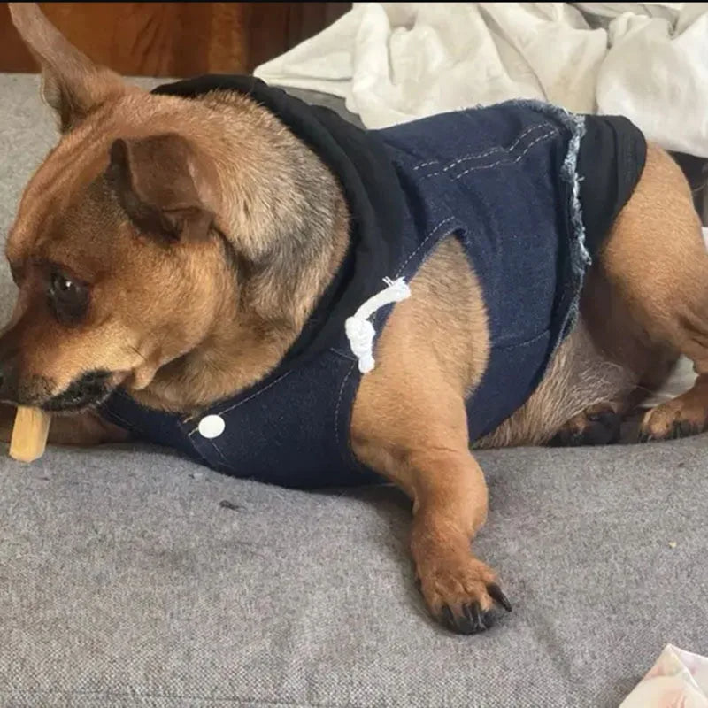 Denim Dog Jacket with Hoodie – Stylish Blue Jeans Coat for Small to Medium Pups