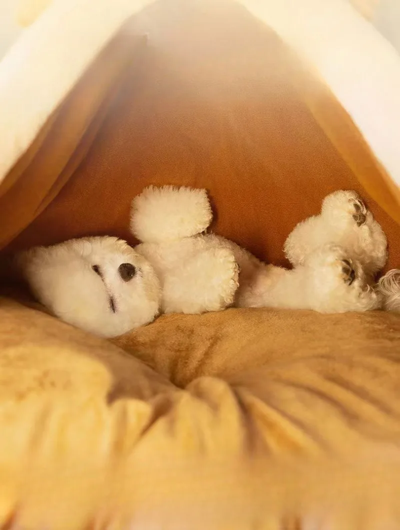 Triangle Pet Tent Bed – Four-Season Triangle Nest for Dogs & Cats with Plush Mattress