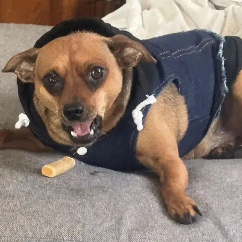 Denim Dog Jacket with Hoodie – Stylish Blue Jeans Coat for Small to Medium Pups