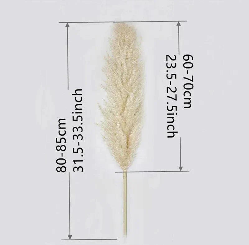 80 cm Natural Real Dried Pampas Grass Bouquet (White / Beige / Gray) │ Fluffy Feather For Modern Boho Home Decoration Ornament
