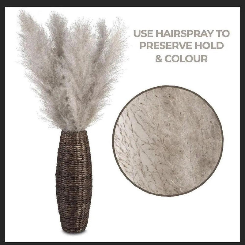 80 cm Natural Real Dried Pampas Grass Bouquet (White / Beige / Gray) │ Fluffy Feather For Modern Boho Home Decoration Ornament