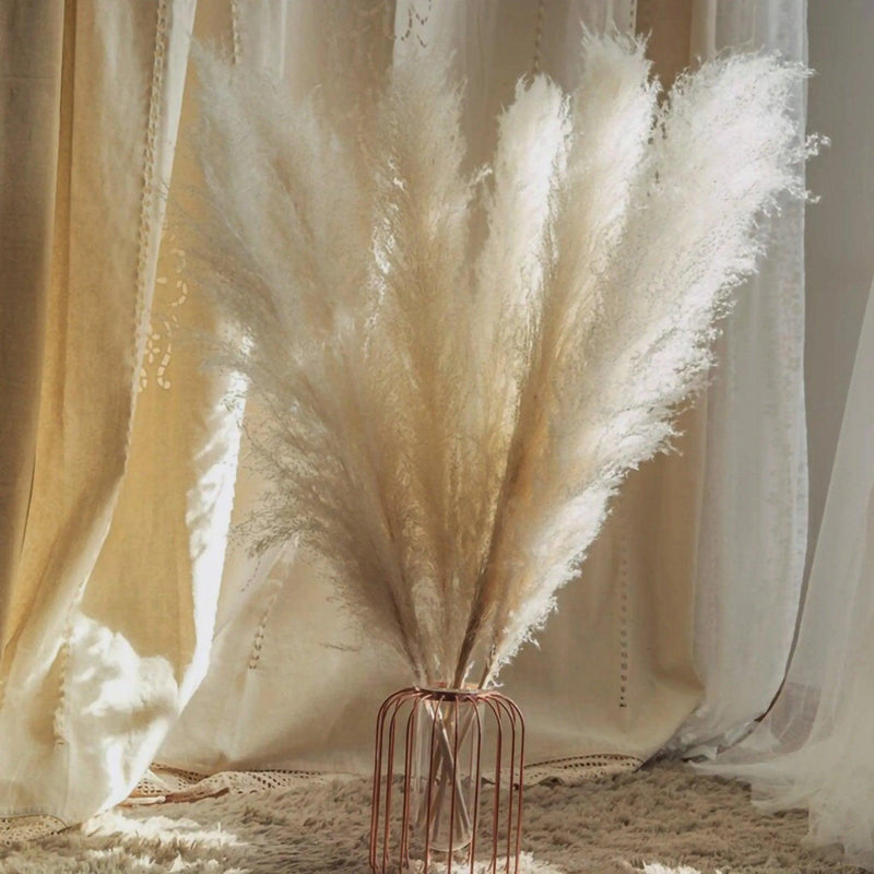 80 cm Natural Real Dried Pampas Grass Bouquet (White / Beige / Gray) │ Fluffy Feather For Modern Boho Home Decoration Ornament