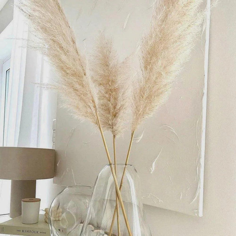 80 cm Natural Real Dried Pampas Grass Bouquet (White / Beige / Gray) │ Fluffy Feather For Modern Boho Home Decoration Ornament