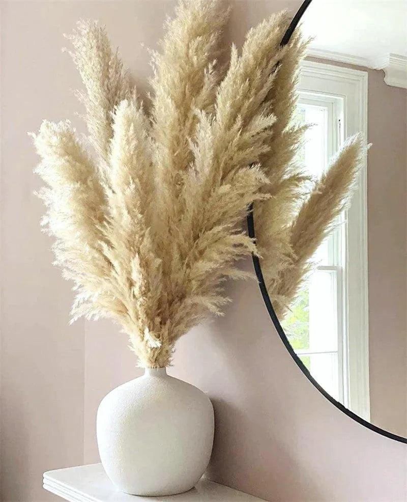 80 cm Natural Real Dried Pampas Grass Bouquet (White / Beige / Gray) │ Fluffy Feather For Modern Boho Home Decoration Ornament