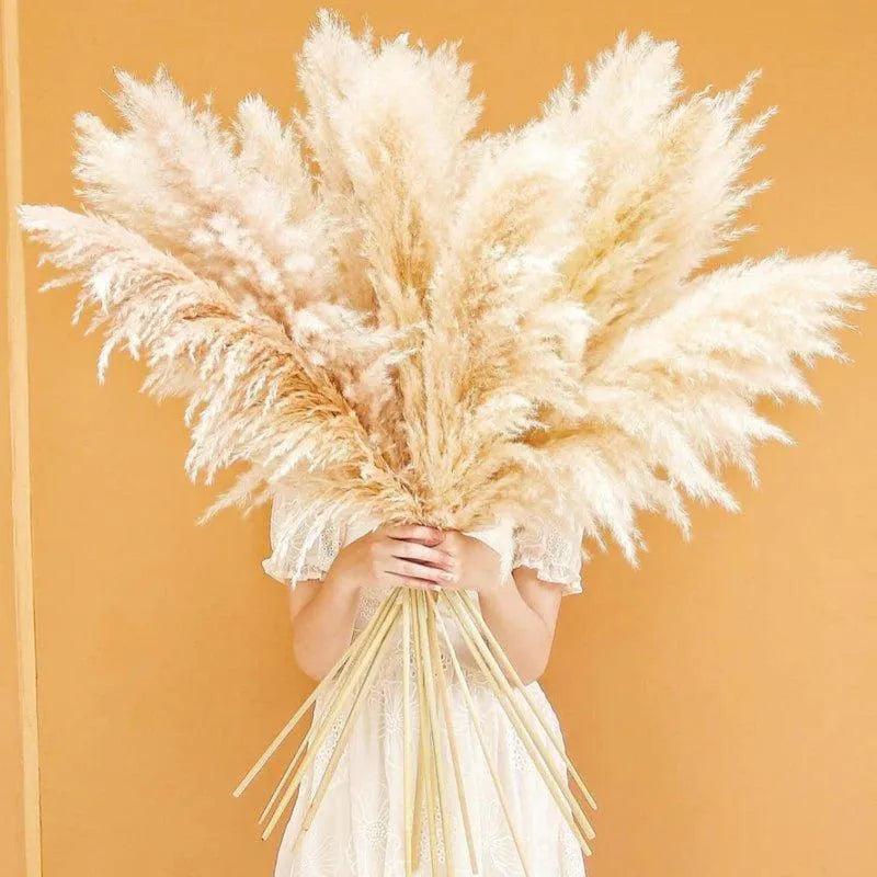 80 cm Natural Real Dried Pampas Grass Bouquet (White / Beige / Gray) │ Fluffy Feather For Modern Boho Home Decoration Ornament