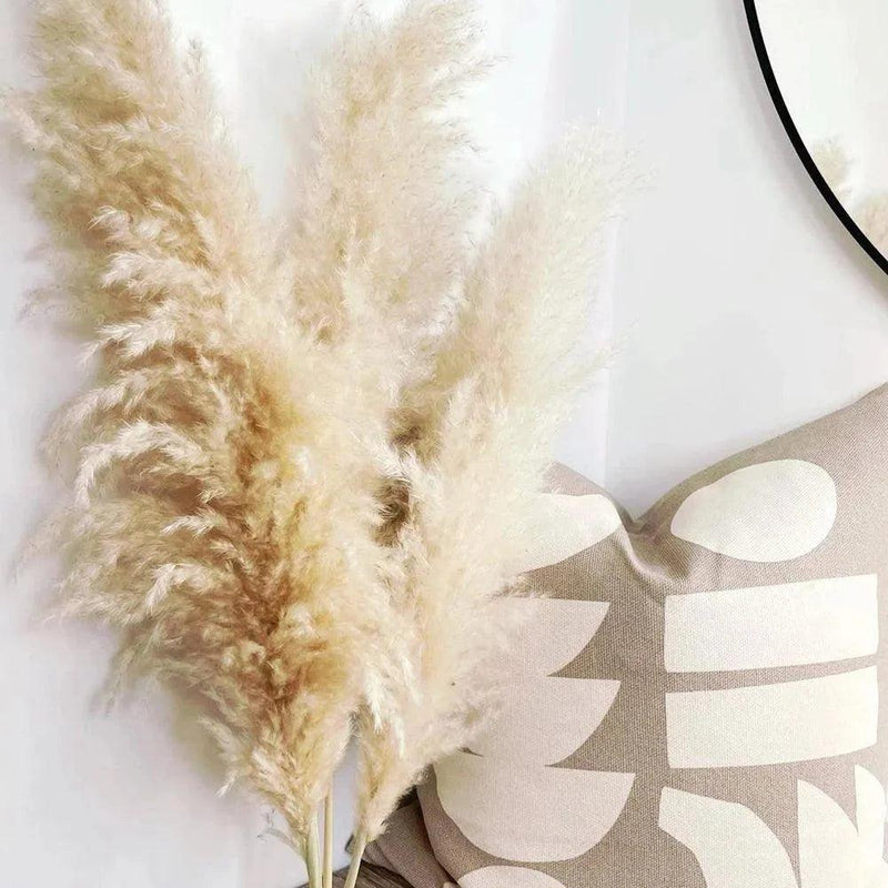 80 cm Natural Real Dried Pampas Grass Bouquet (White / Beige / Gray) │ Fluffy Feather For Modern Boho Home Decoration Ornament