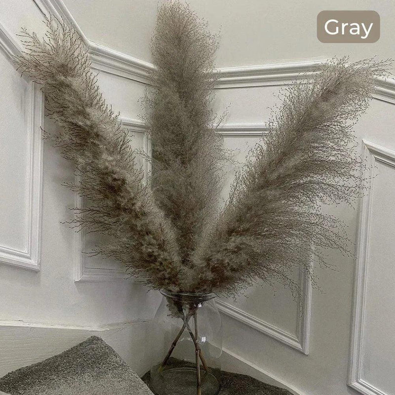 80 cm Natural Real Dried Pampas Grass Bouquet (White / Beige / Gray) │ Fluffy Feather For Modern Boho Home Decoration Ornament