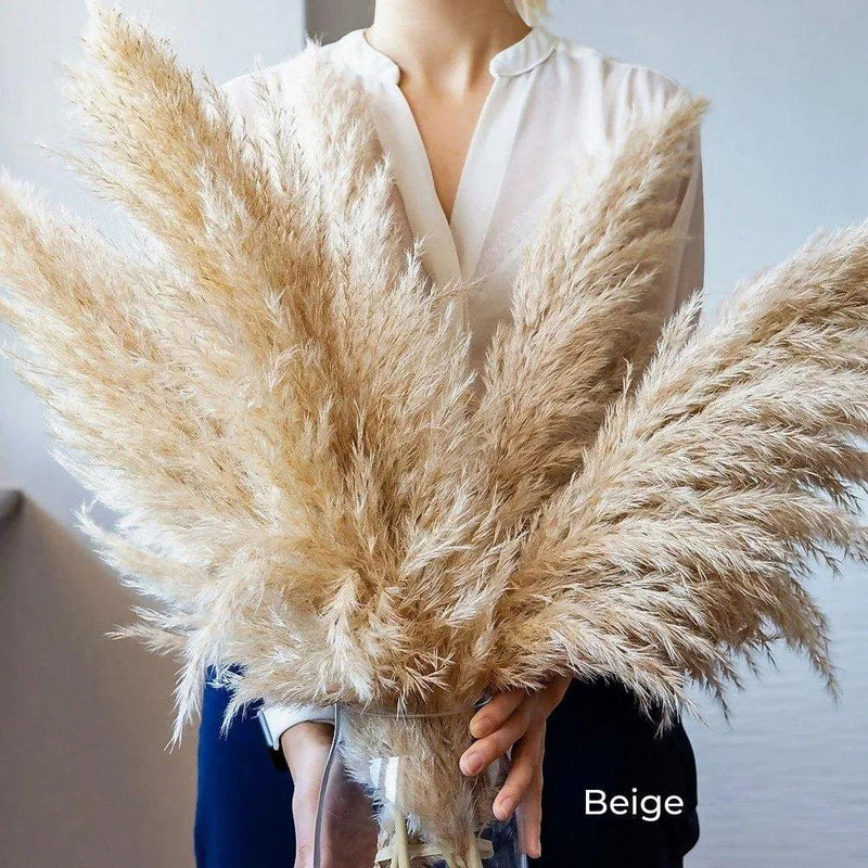 80 cm Natural Real Dried Pampas Grass Bouquet (White / Beige / Gray) │ Fluffy Feather For Modern Boho Home Decoration Ornament