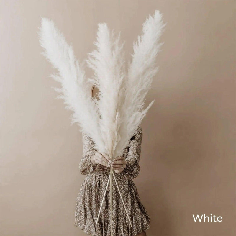 80 cm Natural Real Dried Pampas Grass Bouquet (White / Beige / Gray) │ Fluffy Feather For Modern Boho Home Decoration Ornament