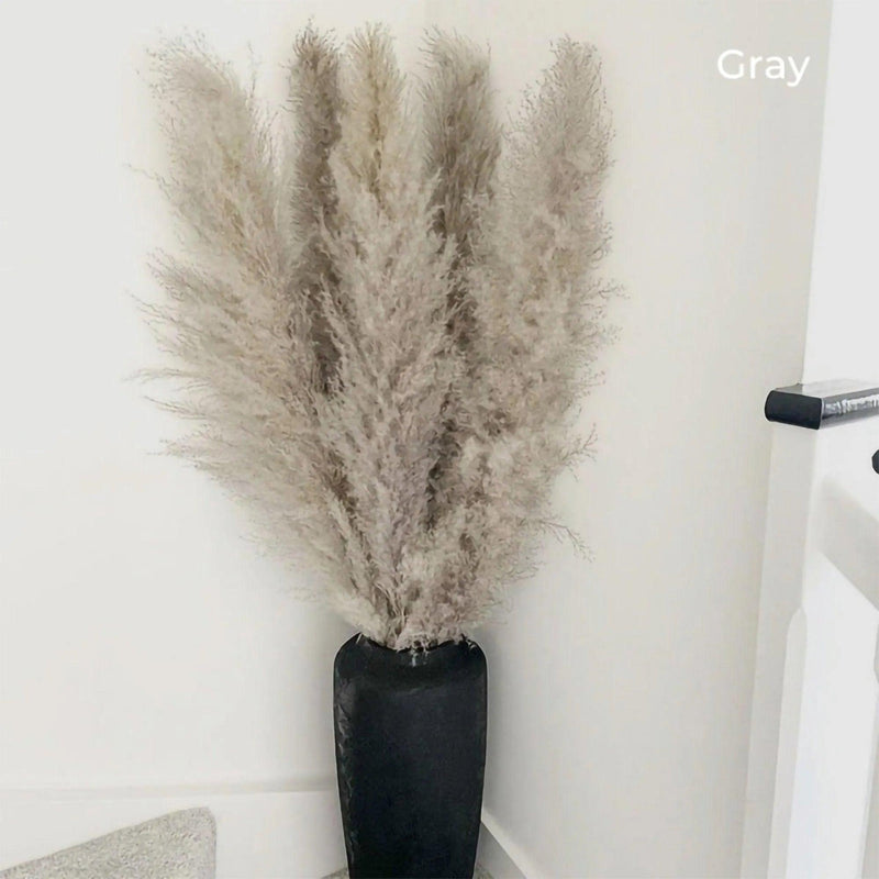80 cm Natural Real Dried Pampas Grass Bouquet (White / Beige / Gray) │ Fluffy Feather For Modern Boho Home Decoration Ornament