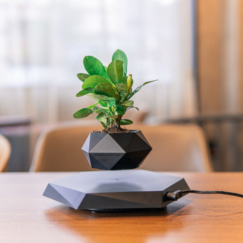 ZenPot | Hovering Plant Pot