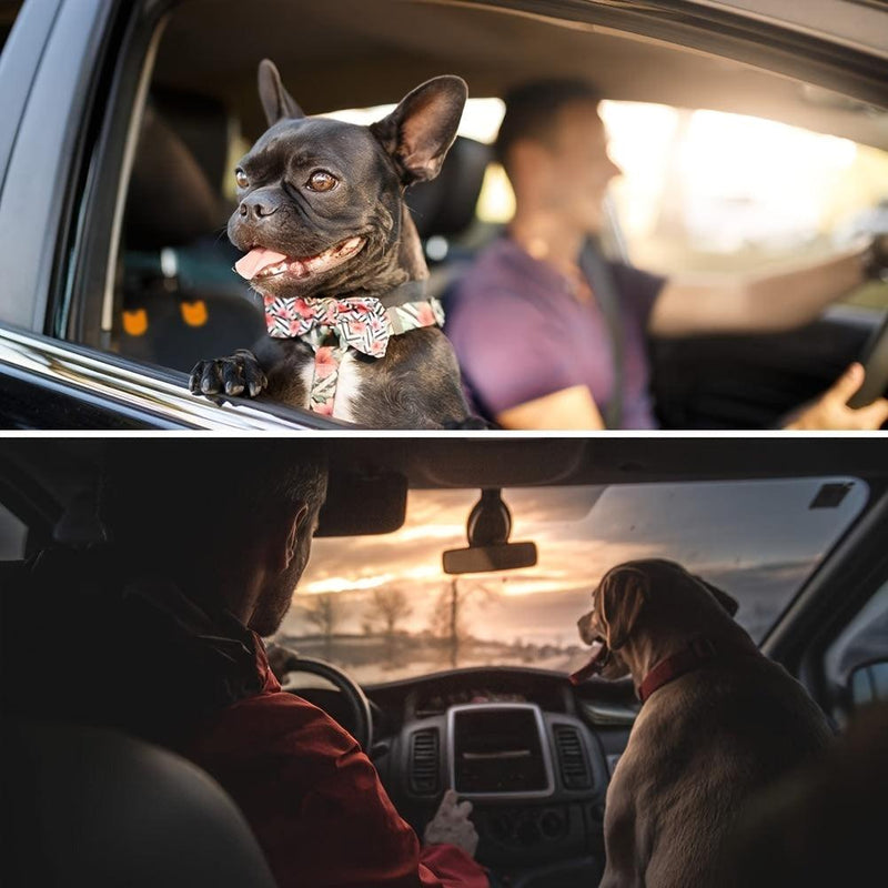 Waterproof Scratchproof Dog Front Car Seat Cover for Pets, Car Seat Protector for Dogs