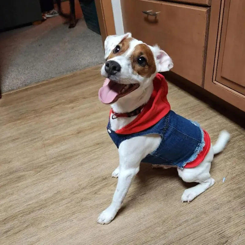 Denim Dog Jacket with Hoodie – Stylish Blue Jeans Coat for Small to Medium Pups