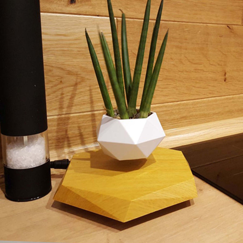 ZenPot | Hovering Plant Pot