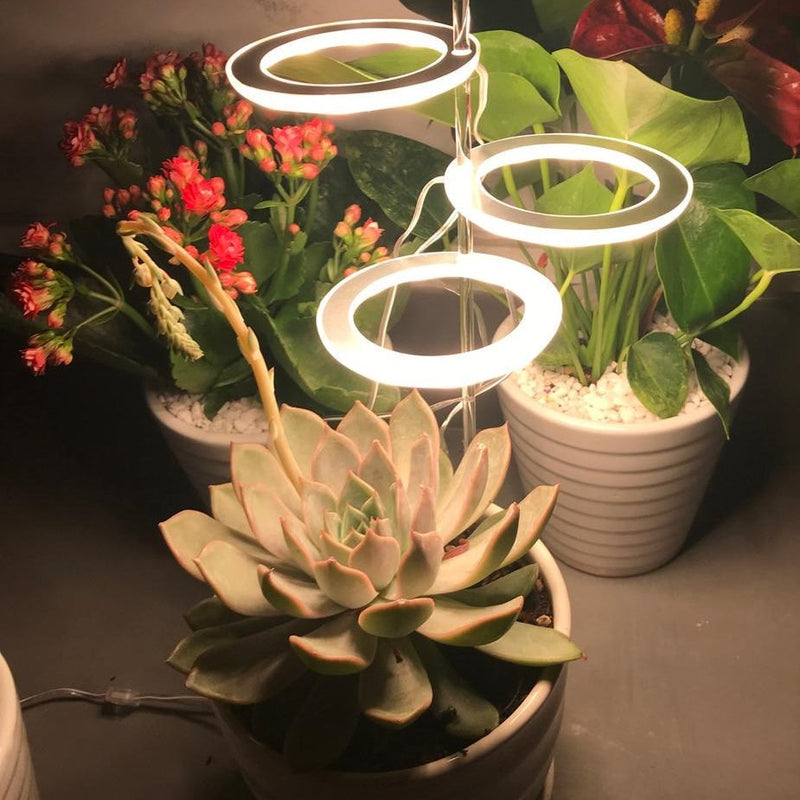 HaloGrow | Full Spectrum LED Grow Lights with Timer